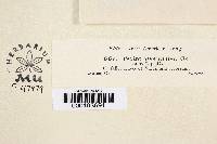 Image Associated With the Occurrence