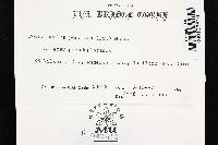 Porodisculus pendulus image