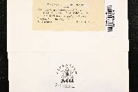 Image Associated With the Occurrence