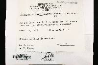 Image Associated With the Occurrence