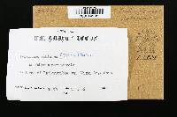 Thumbnail image of current specimen