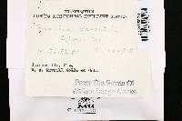 Image Associated With the Occurrence