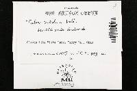 Image Associated With the Occurrence