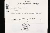 Thumbnail image of current specimen