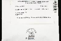 Media resource of Perenniporia tenuis