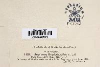 Image Associated With the Occurrence