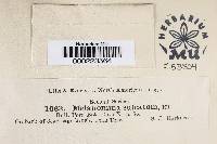 Image Associated With the Occurrence