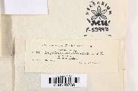 Image Associated With the Occurrence