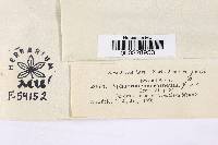 Image Associated With the Occurrence