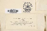 Image Associated With the Occurrence