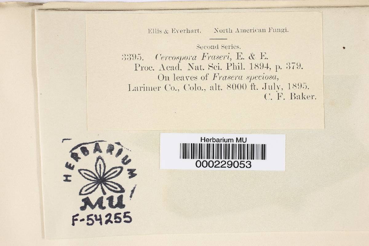 Cercospora fraserae image