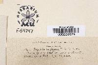 Image Associated With the Occurrence