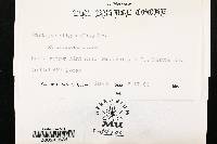 Diatrype stigma image