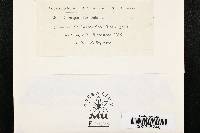 Cercospora beticola image