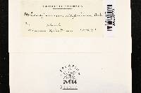 Image Associated With the Occurrence