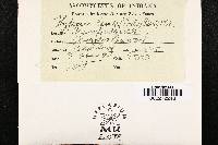 Image Associated With the Occurrence