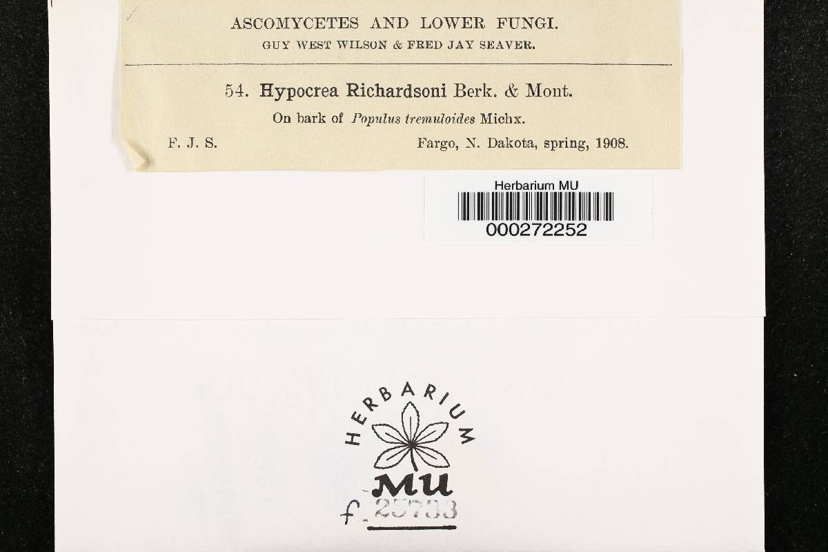 Hypocrea richardsoni image