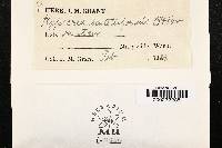 Image Associated With the Occurrence