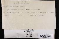 Media resource of Lamproderma sauteri