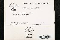 Image Associated With the Occurrence