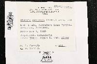 Thumbnail image of current specimen