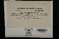 Image Associated With the Occurrence