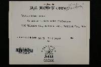 Image Associated With the Occurrence