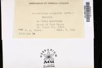 Poronidulus conchifer image