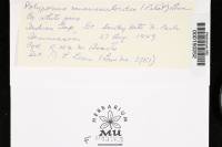 Image Associated With the Occurrence