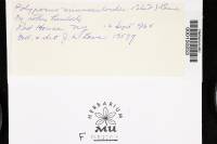 Image Associated With the Occurrence