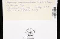 Image Associated With the Occurrence