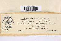 Media resource of Cytospora aurora