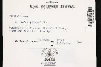 Image Associated With the Occurrence