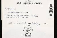 Image Associated With the Occurrence