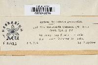 Cryptosphaeria eunomia image