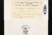 Image Associated With the Occurrence