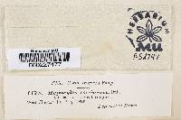 Hypoxylon fragiforme image