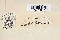 Image Associated With the Occurrence