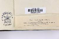 Image Associated With the Occurrence