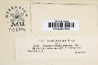 Image Associated With the Occurrence