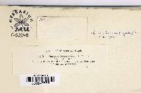 Image Associated With the Occurrence