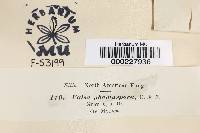 Image Associated With the Occurrence