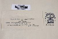 Image Associated With the Occurrence