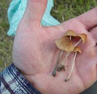 Image Associated With the Occurrence