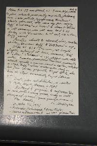 Psilocybe stuntzii image