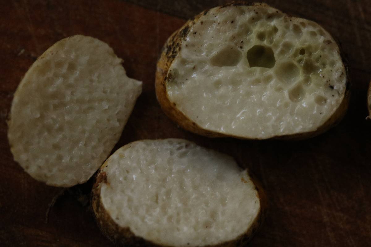 Leucogaster citrinus image