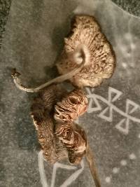 Image Associated With the Occurrence