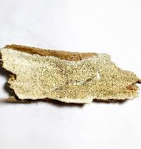 Sidera lenis image