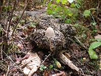 Image Associated With the Occurrence