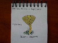 Phylloporus rhodoxanthus image